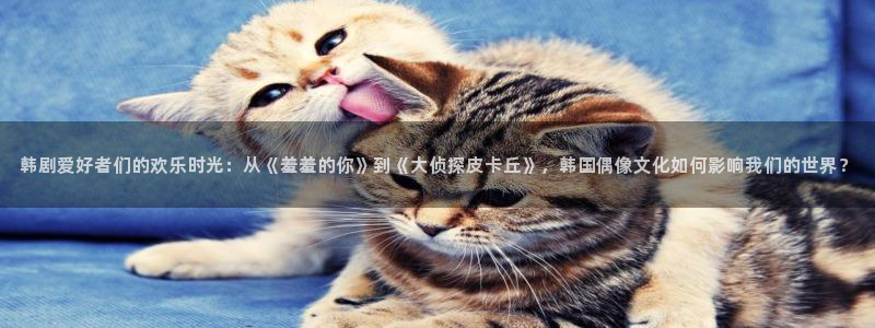 omofun动漫官网入口安卓：韩剧爱好者们的欢乐时光：从《羞羞的你》到《大侦探皮卡丘》，韩国偶像文化如何影响我们的世界？