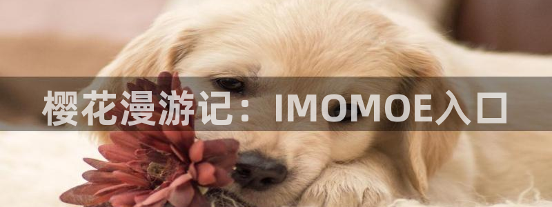 omofun.com：樱花漫游记：IMOMOE入口