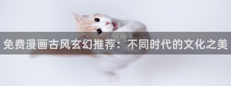 omofun正版app下载