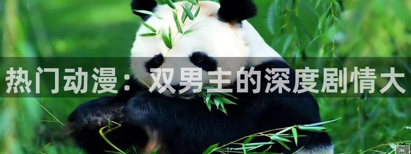 omofun专注动漫的网站：热门动漫：双男主的深度剧情大