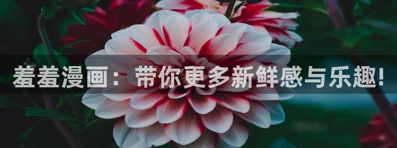 omofun免费下载：羞羞漫画：带你更多新鲜感与乐趣!