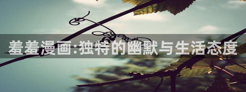omofun官方网站下载