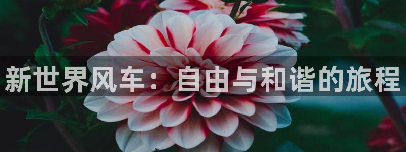 omofun官方版下载