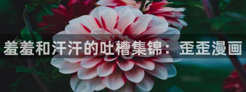 omofun动漫官方官网：羞羞和汗汗的吐槽集锦：歪歪漫画