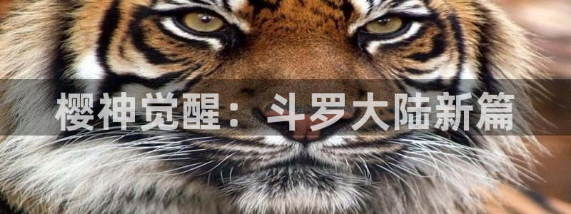 omofun新版本下载：樱神觉醒：斗罗大陆新篇