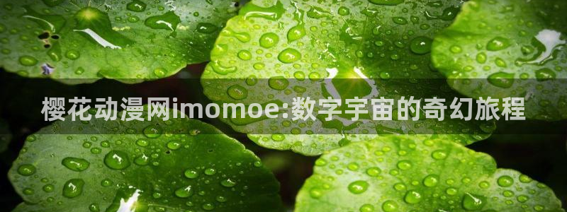 omofun网页版：樱花动漫网imomoe:数字宇宙的奇幻旅程