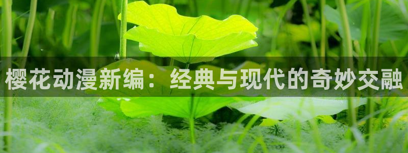 o站(omofun)官网：樱花动漫新编：经典与现代的奇妙交融