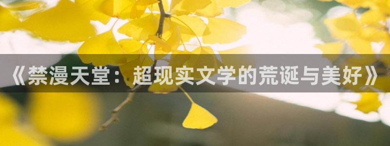 omofun怎么下载安装：《禁漫天堂：超现实文学的荒诞与美好》