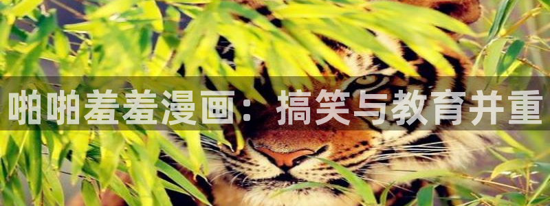 omofun网页版地址：啪啪羞羞漫画：搞笑与教育并重