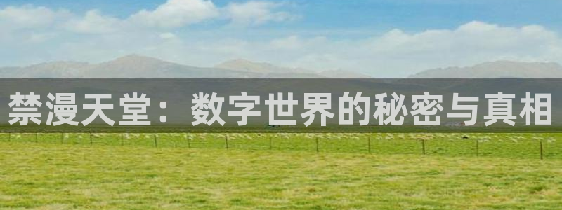 omofun 动漫在线观看：禁漫天堂：数字世界的秘密与真相