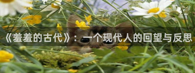 omofun动漫免费看官网入口在哪：《羞羞的古代》：一个现代人的回望与反思