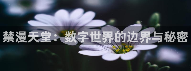 omofun怎么自签：禁漫天堂：数字世界的边界与秘密